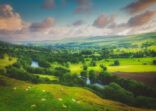 Meandering River making its way through lush green rural farmland in the warm early sunset.