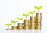 coin stack money saving concept. green leaf plant growth on rows of coin on white background. money matters tips to investment and business financial banking for Financial Wellness.