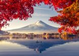 Colorful Autumn Season and Mountain Fuji with morning fog and red leaves at lake Kawaguchiko is one of the best places in Japan