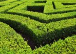 Green labyrinth in Portugal