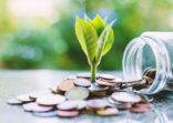 Plant growing from coins outside the glass jar on blurred green natural background for business and financial growth concept