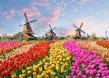 Traditional dutch windmills and houses near the canal in Zaanstad village, Zaanse Schans, Netherlands, Europe