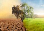 Climate change and Environmental damage